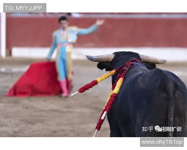 揭秘你不知道的公牛冷知识 十大惊人事实大揭秘